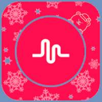 Filters&Transactions of Musical.ly on 9Apps