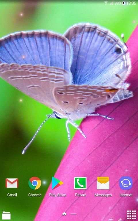 Beautiful Summer HD Wallpapers screenshot 2