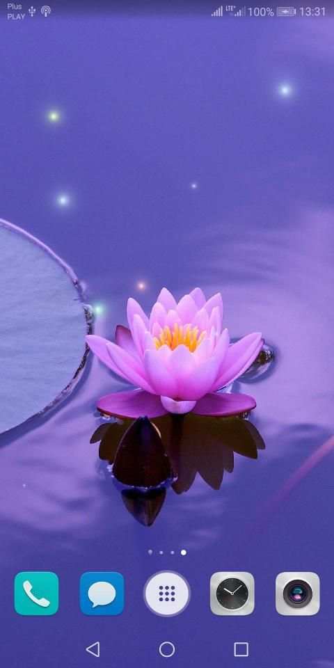 Beautiful Summer HD Wallpapers स्क्रीनशॉट 8