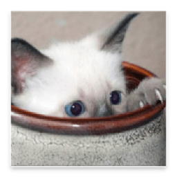 Trouver Le Chat 3 आइकन