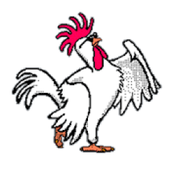 Run Chicken, Run ! आइकन