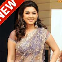 Hansika motwani social media updates