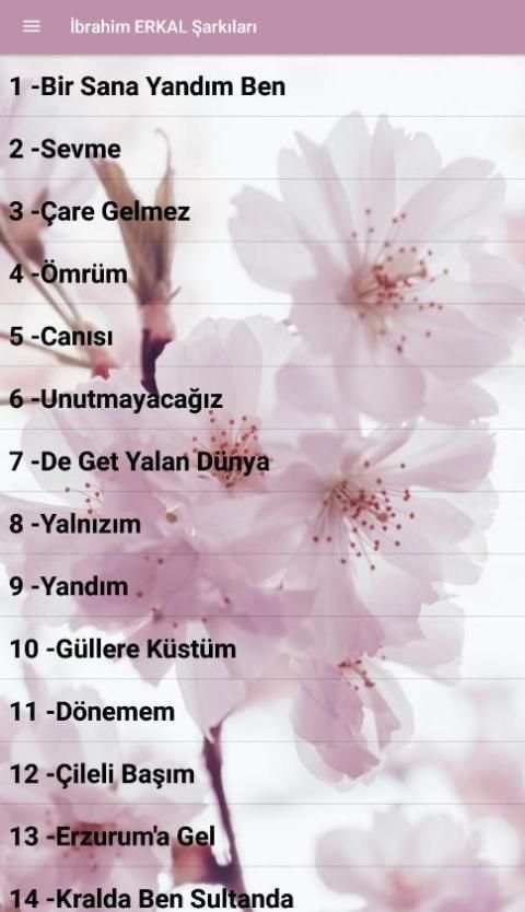 İbrahim Erkal Şarkıları(İnternetsiz) скриншот 5