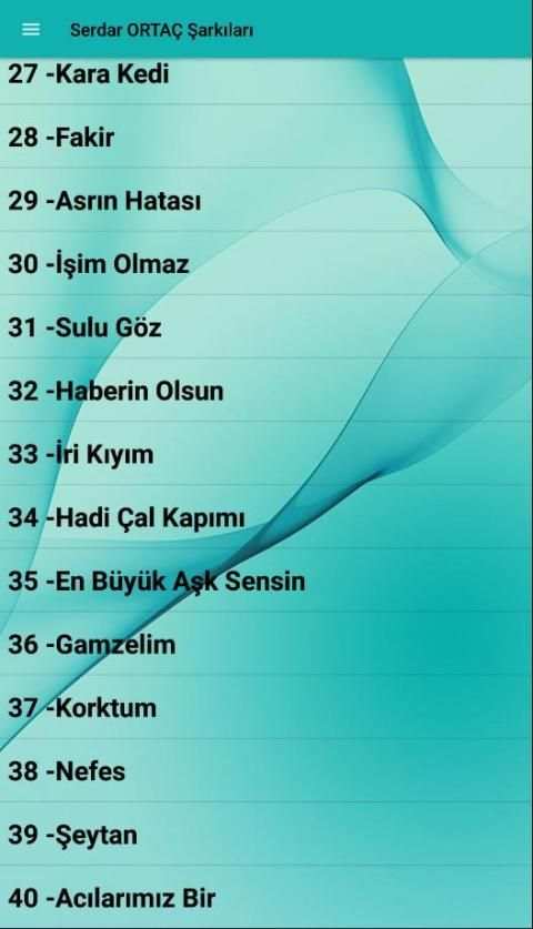 Serdar ORTAÇ Şarkıları (İnternetsiz 40 Şarkı) screenshot 4