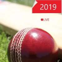 Live24score