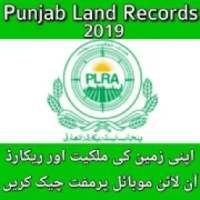 Punjab Land Record