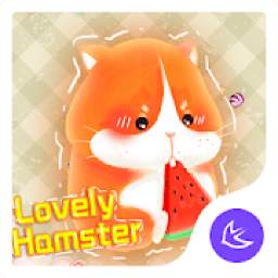 Hamster-APUS Launcher theme