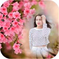 Sakura Photo Frames on 9Apps