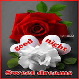 GoodNight Gif आइकन
