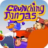 Crunching Ninjas