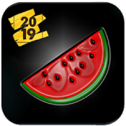 Melon VPN Dashboard icon