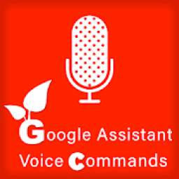 Ok Google Voice Commands for Google Assistant
