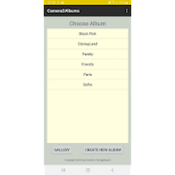 ikon Camera to Albums