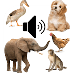 ikon Animal Sounds App for Kids