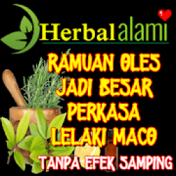 Obat Oles Pembesar Racikan Sendiri Tanpa Efek icon