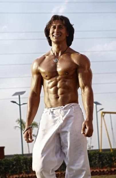 Tiger Shroff Wallpapers HD screenshot 2