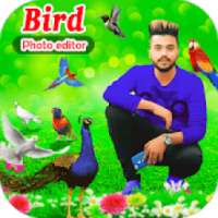 Bird Photo Editor