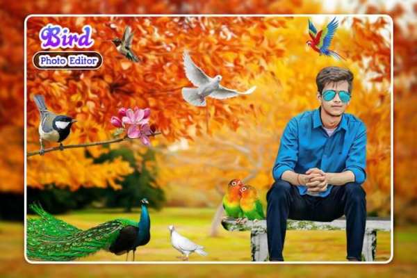 Bird Photo Editor screenshot 2
