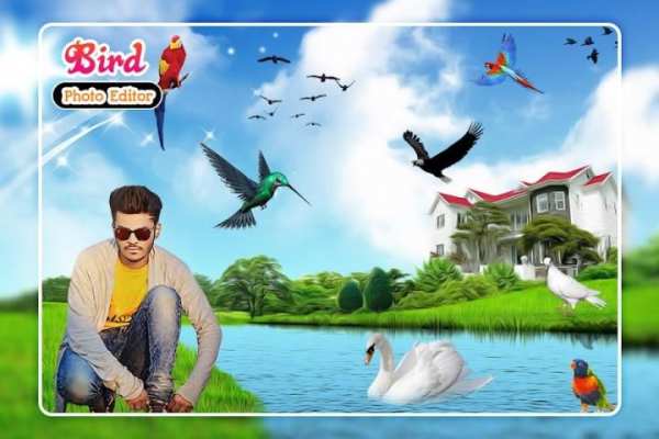 Bird Photo Editor स्क्रीनशॉट 1