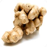 Uses & Benefits of Ginger Root