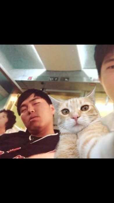 셀냥이 - 고양이 카메라 screenshot 1