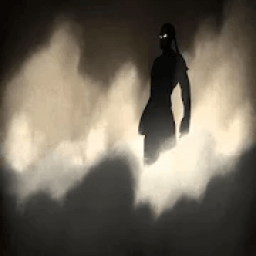 Shadow Fight Wallpaper icon