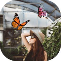 Butterfly Live Photo Editor