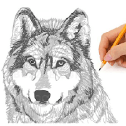 ikon How to draw a wolf. Scheme