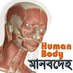 মানবদেহ (Human body)