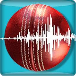 Snickometer : Cricket Prediction Tool