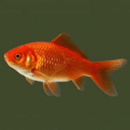 Catcht he bigger one आइकन