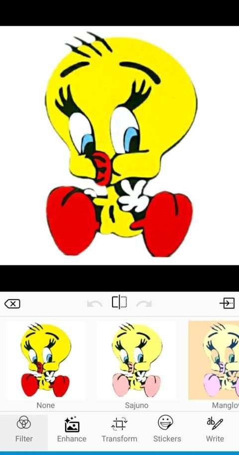 Tweeto Photo Editor (Professional) screenshot 1