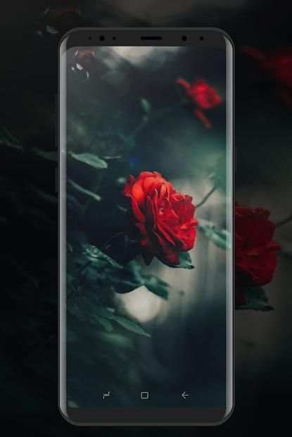 4kWallpaper: All in one screenshot 4