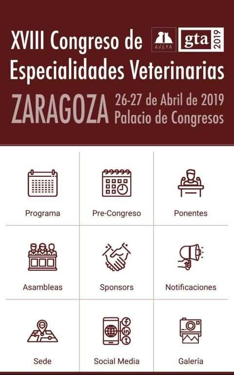 AVEPA-GTA Zaragoza 2019 screenshot 1