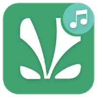 Tips Jlo Savn 2019 on 9Apps