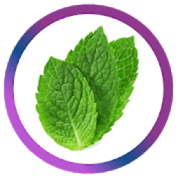 Mint Browser - Free Indian Browser! आइकन