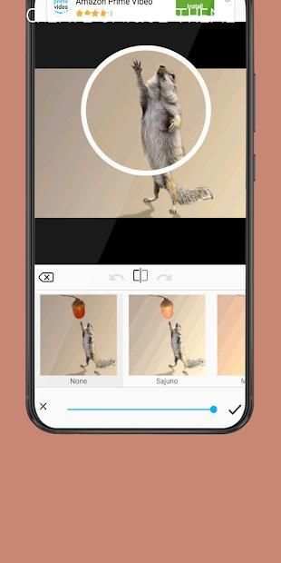 PRO photos editing 2018 screenshot 8