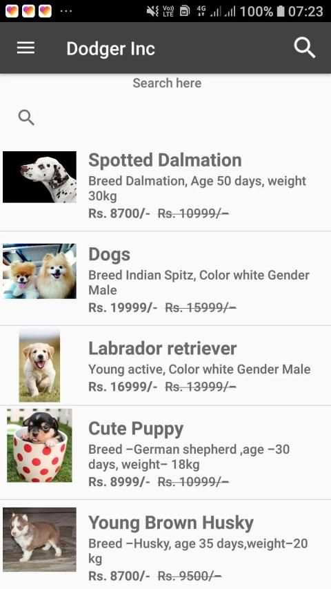 Dodger Inc - Online Pet Shop screenshot 6