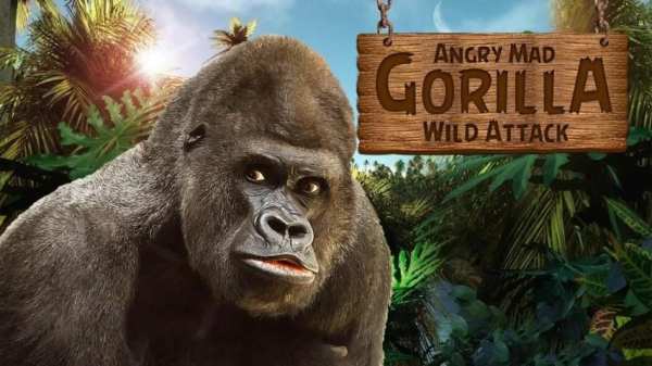 Angry Mad gorilla Wild Attack स्क्रीनशॉट 4