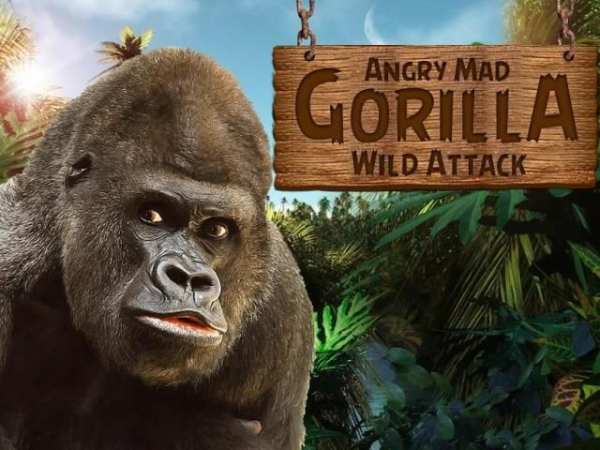 Angry Mad gorilla Wild Attack स्क्रीनशॉट 8
