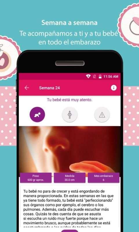 Embarazo Semana a Semana screenshot 6