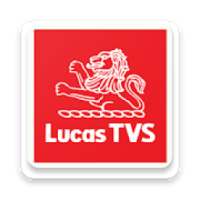 Lucas Tvs Network