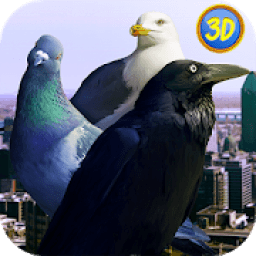 City Birds Simulator आइकन