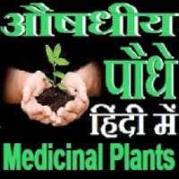 औषधीय पौधे - Medicinal Plants on 9Apps