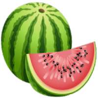 Melon VPN - Free & Fast Secure Proxy VPN