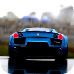 Real Driving Experience आइकन