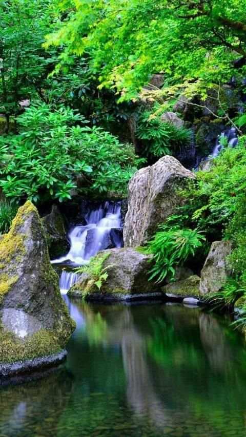 Garden Wallpaper screenshot 9