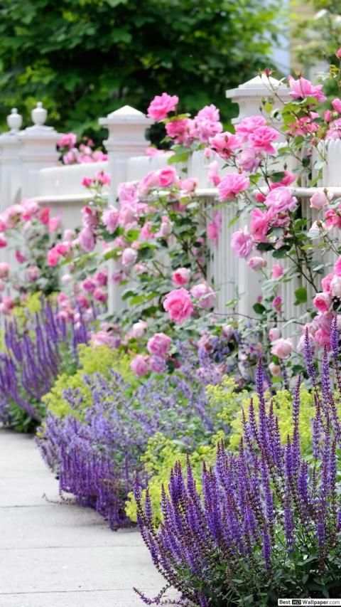 Garden Wallpaper screenshot 11