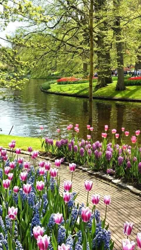 Garden Wallpaper screenshot 10