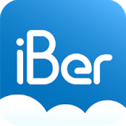 ikon iBer - Insur Management Tools